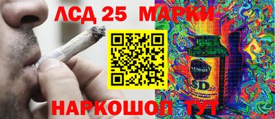 2c-b Камышлов