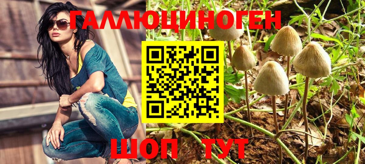 Ставрополь  Галлюциногенные грибы ЛСД  Псилоцибиновые грибы Cubensis  Вход с VPN 